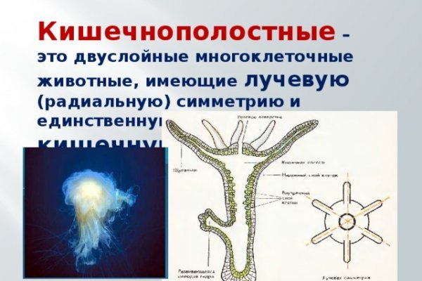 Купить закладку гашиш соль